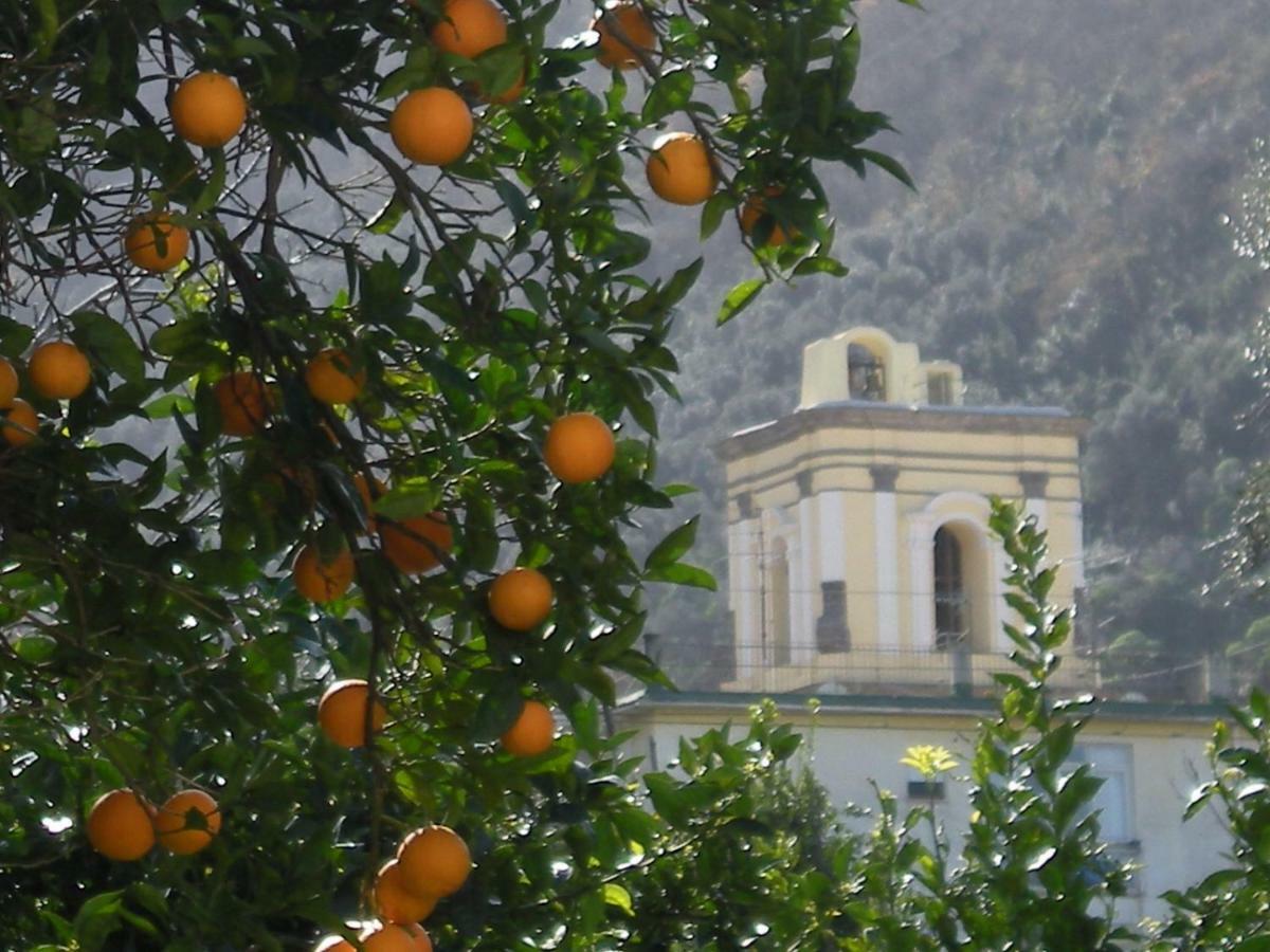 Casa De Angelis Orange & Blue Daire Sant'Agnello Dış mekan fotoğraf