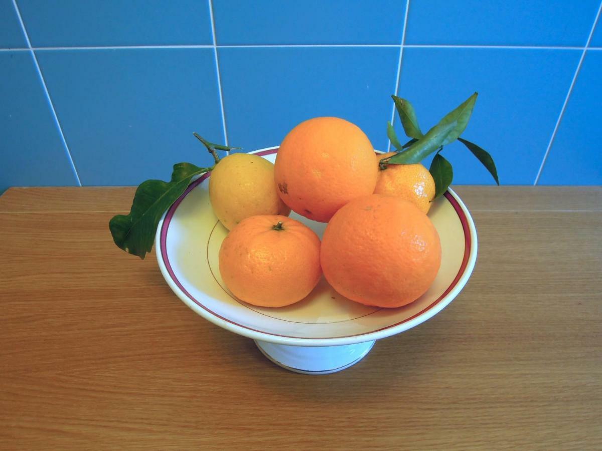 Casa De Angelis Orange & Blue Daire Sant'Agnello Dış mekan fotoğraf
